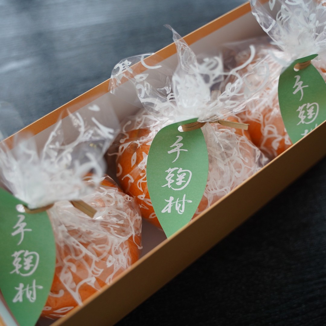 【予約商品】手鞠柑　3個入