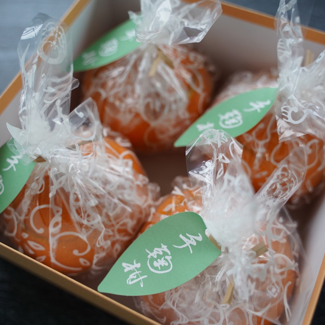 【予約商品】手鞠柑　4個入